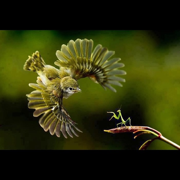 🌎same day or next day shipping - Picture 2 of 16